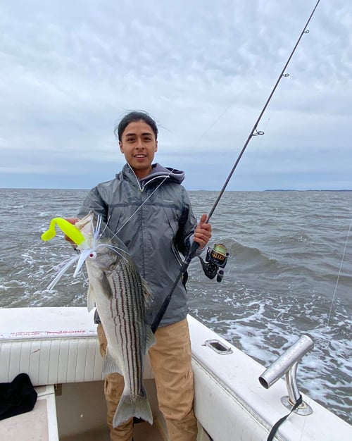 4-8 Hour Inshore Trip
