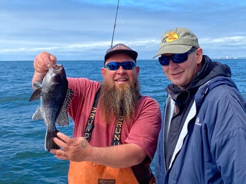 4-8 Hour Inshore Trip