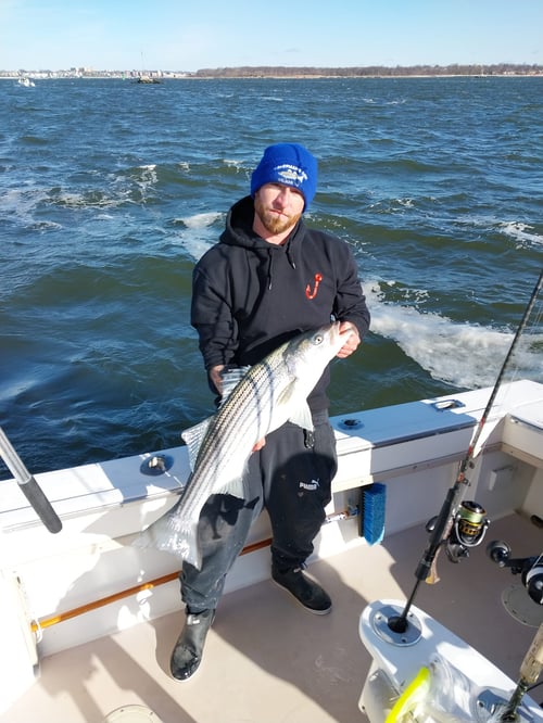 4-8 Hour Inshore Trip