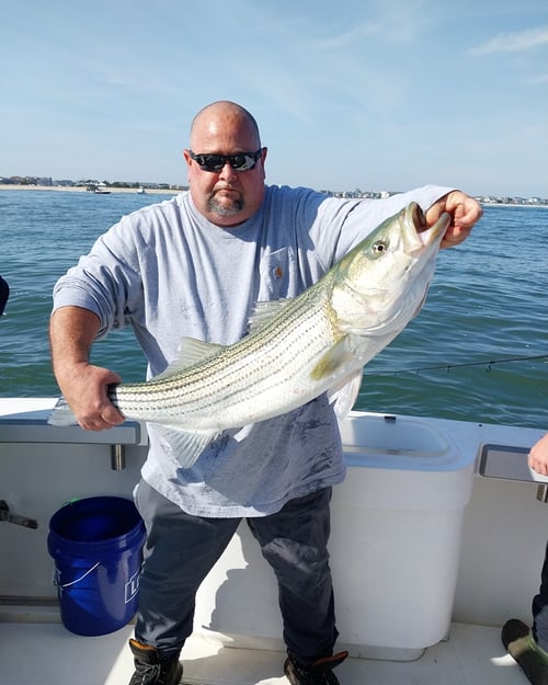 4-8 Hour Inshore Trip