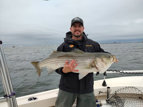 Inshore charter