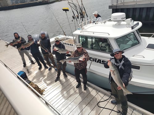 OFFSHORE SHARK TRIP