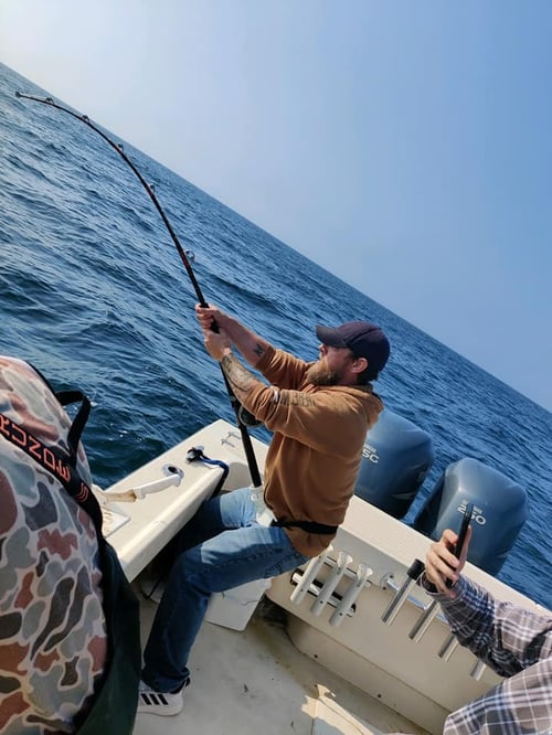 OFFSHORE SHARK TRIP