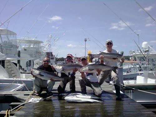 8 Hour Trip – Fluke/Striped Bass