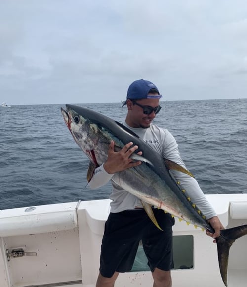 14 Hour – Offshore Tuna Trip