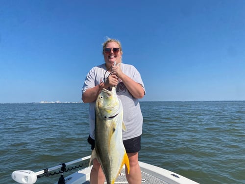 4-6-8 hour Action Packed Charters!