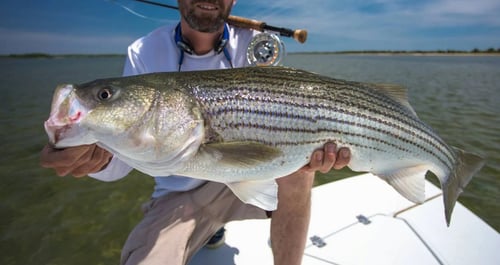  Flats Fishing
