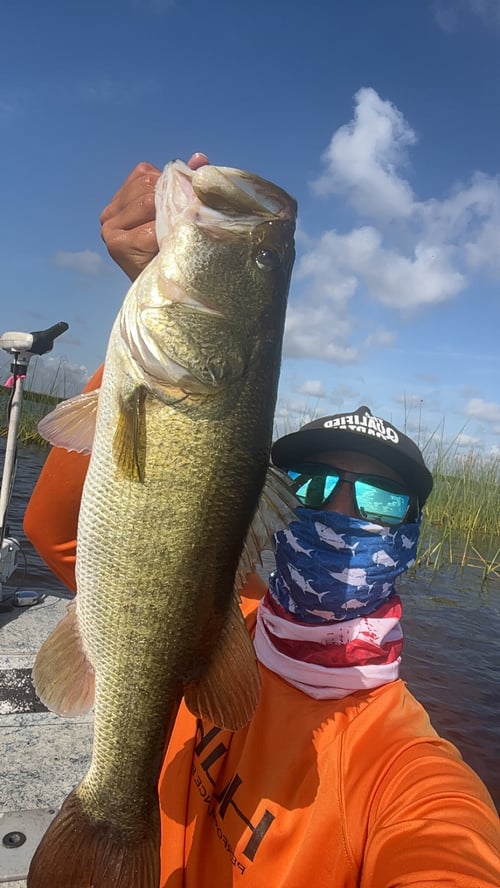 Lake Okeechobee Bass Fishing