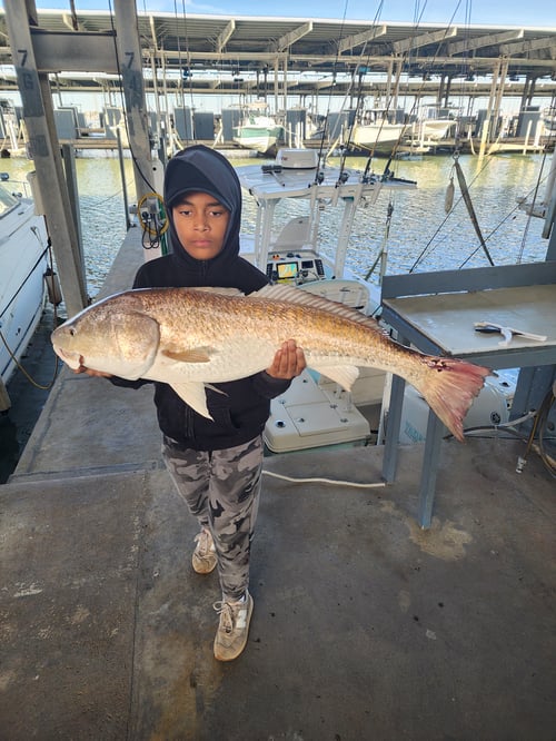 6 Hr Group Bay & Jetty 