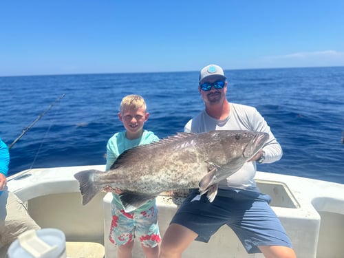 Full and half day offshore.