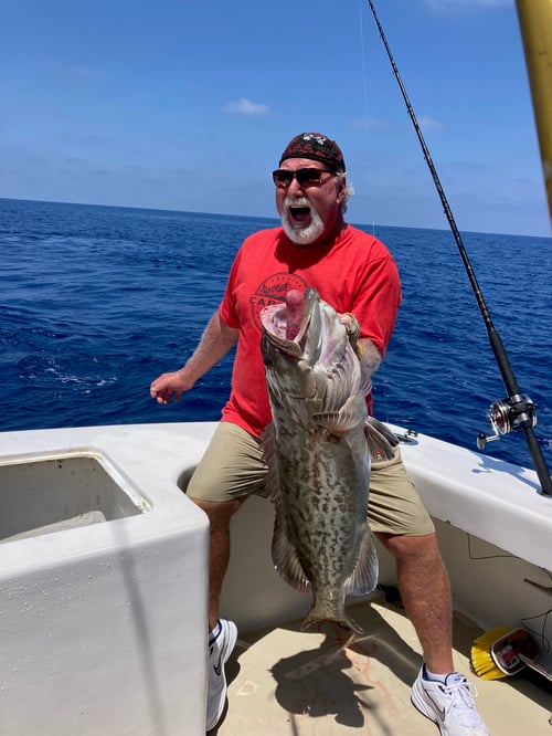 Half day offshore 