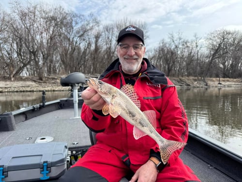 Walleye Fishing Trips