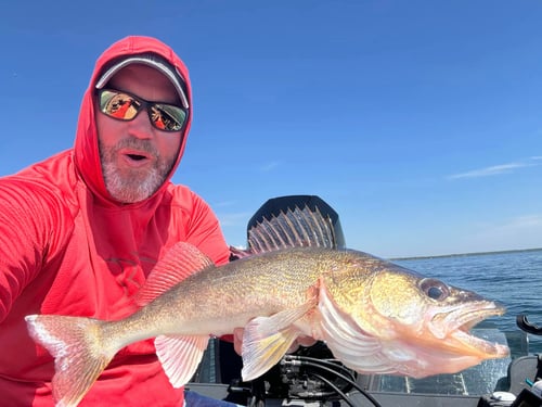Walleye Fishing Trips