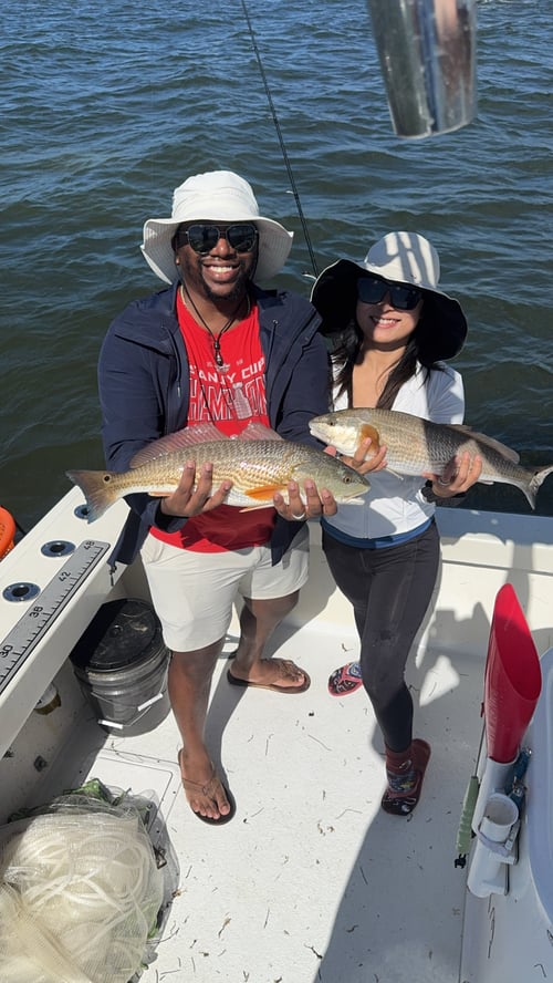 Inshore 