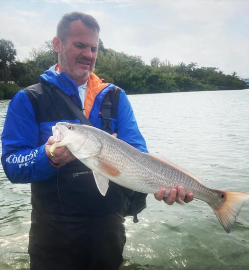 Wade Fishing Day Trip