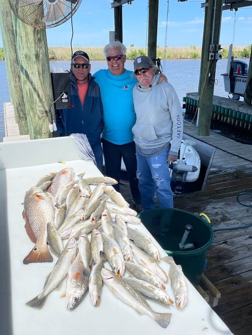 Redfish, Speckled Trout Fishing in Saint Bernard, Louisiana