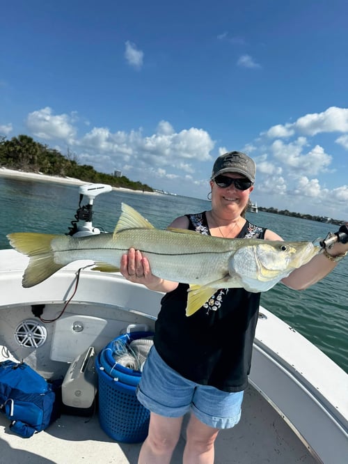 4 Hour Trip – Inshore