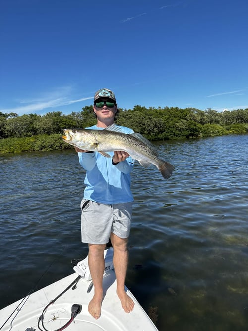 4 Hour Trip – Inshore