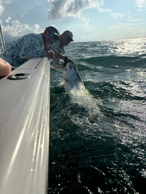 Half day– Tarpon