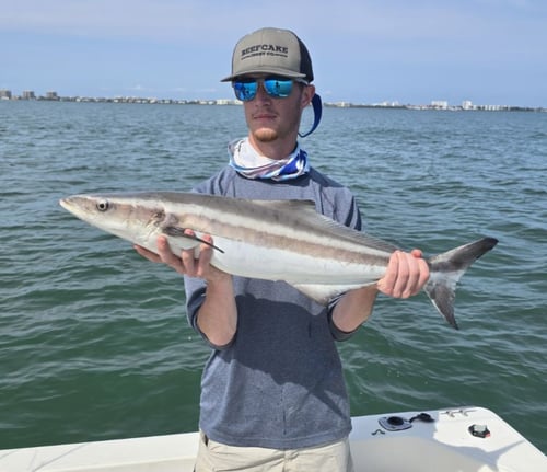 2-6 Hour Trip – Fish and Fun
