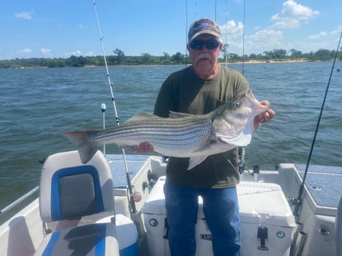 4 Hour Trip – Standard Striped Bass