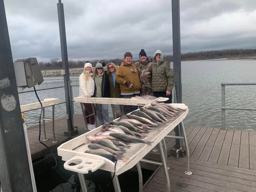 4 Hour Trip – Standard Striped Bass