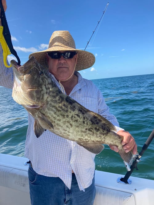 4-8 Hour Nearshore Trip