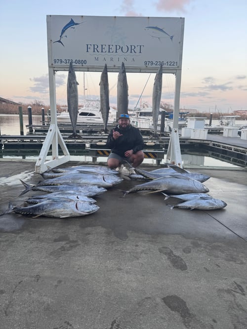 24 hr Tuna safari