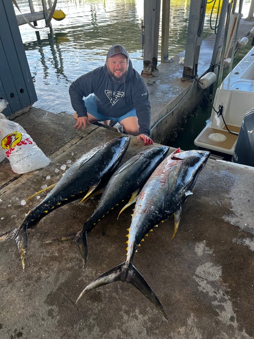 24 hr Tuna safari