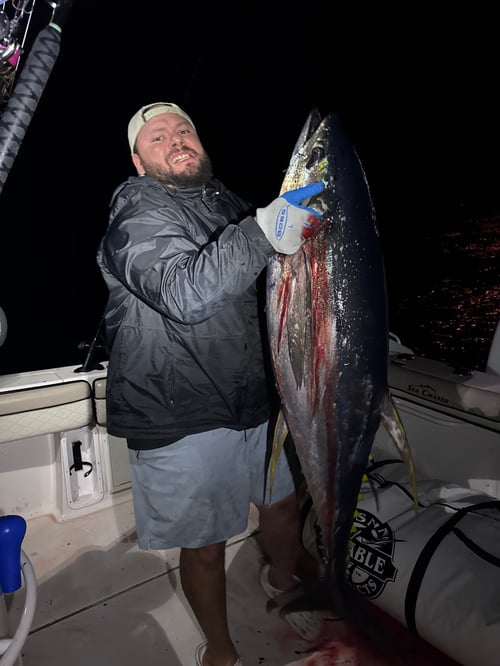 24 hr Tuna safari
