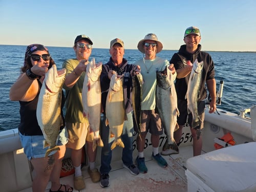 Trolling For Salmon Trout
