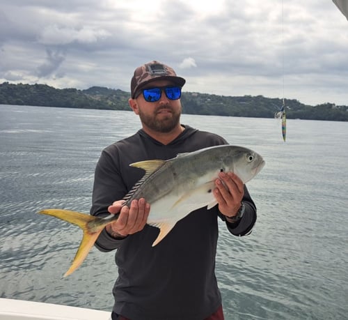 5-8 Hour Inshore Trip