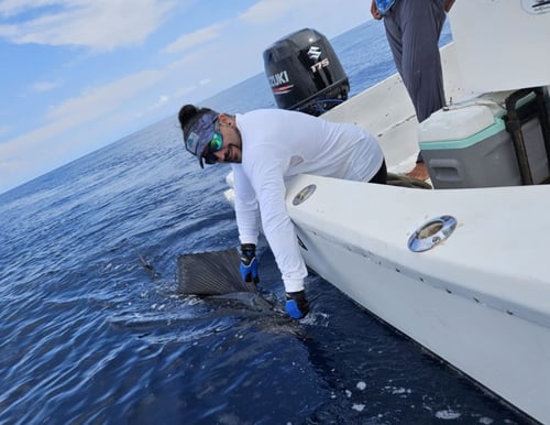 6-8 Hour Trip – Offshore