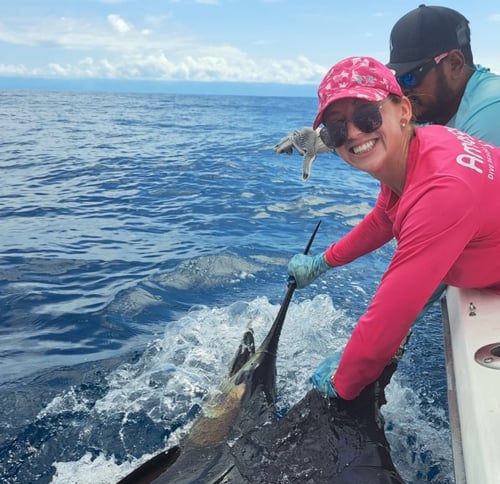 6-8 Hour Trip – Offshore