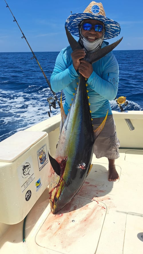 6-8 Hour Trip – Offshore