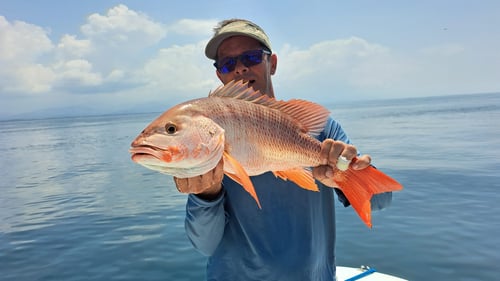 6-8 Hour Trip – Offshore