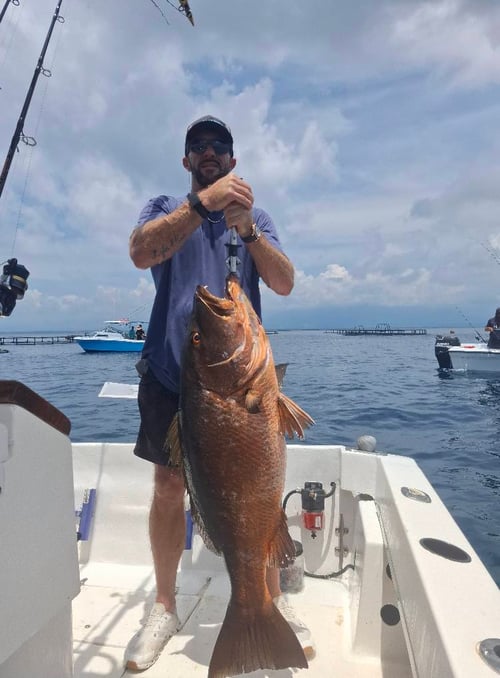 6-8 Hour Trip – Offshore