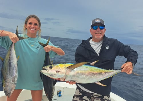 6-8 Hour Trip – Offshore