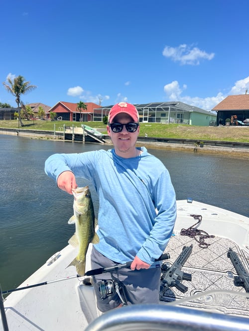 Peacock bass fishing 