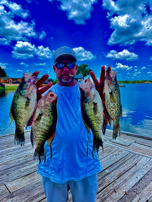 Lake Ray Hubbard Crappie