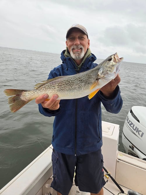 Inshore Fishing Trip