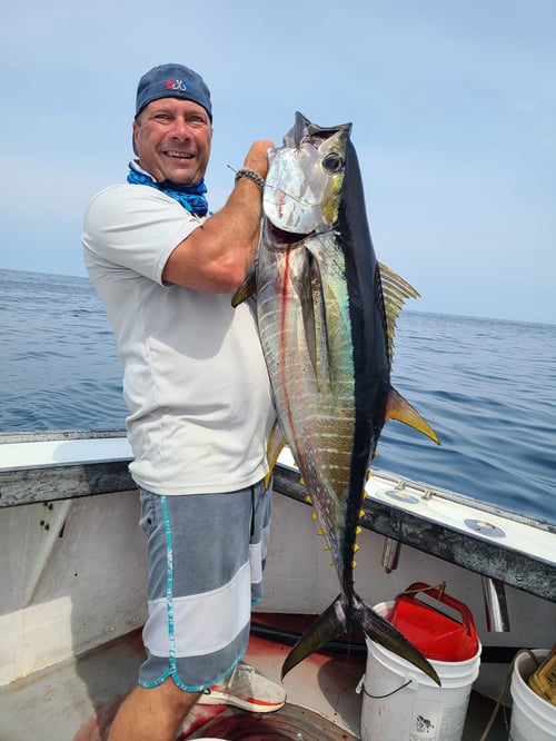 Full Day Offshore Shark/Tuna