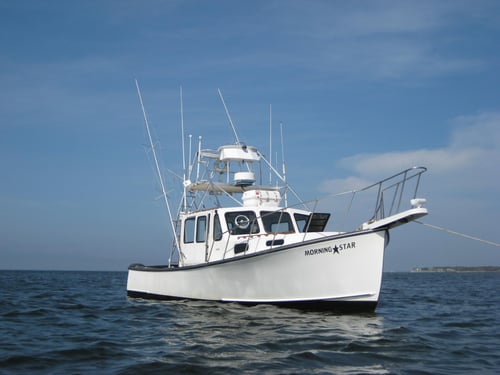 Full Day Offshore Shark/Tuna