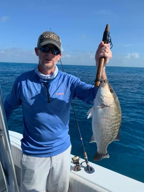 Reef & Inshore Fishing