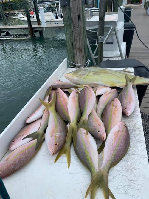 Reef & Inshore Fishing