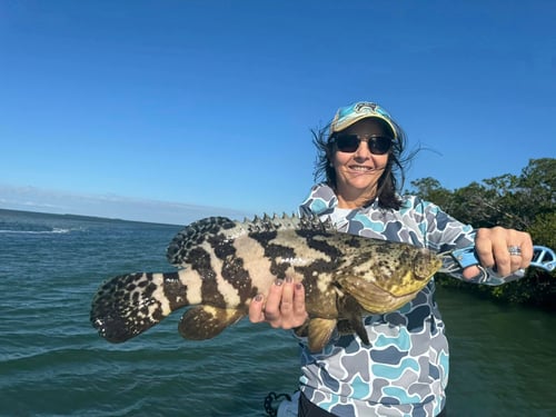 Backcountry / Flats Fishing Trip