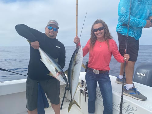 Coronado Islands 10 hr