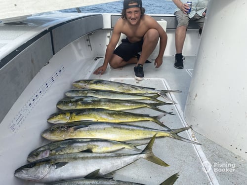 Coronado Islands 10 hr
