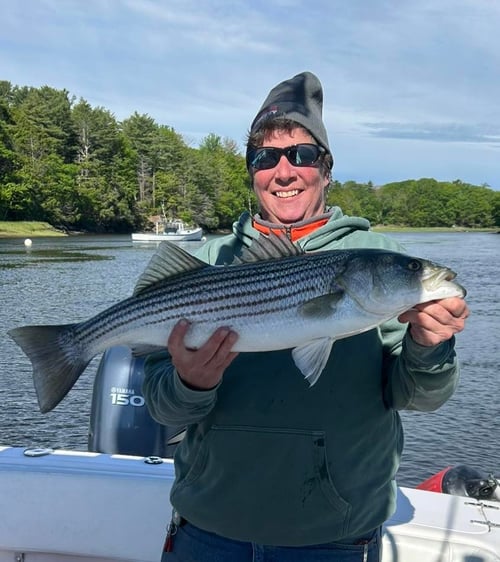 4 hr Inshore Striper and Blues