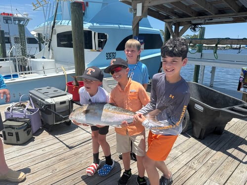 8 hr Red Snapper/Vermillion Snapper